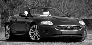 Make your customers feel excellent with your advanced limo dispatch software